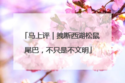 马上评｜拽断西湖松鼠尾巴，不只是不文明